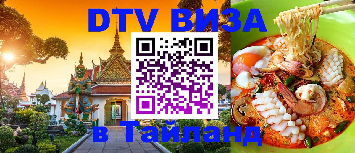 Оформление DTV визы под ключ: стоимость и тарифы, только загранпаспорт - 06.12.2025 